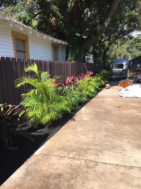 Professional lawn care service experts serving Tampa, FL - Southern Edge Landscape & Design