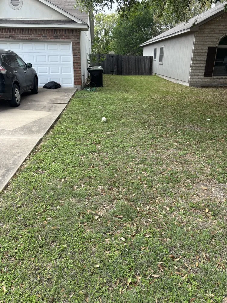 Affordable landscape installation in Leander, TX - Southern Edge Landscape