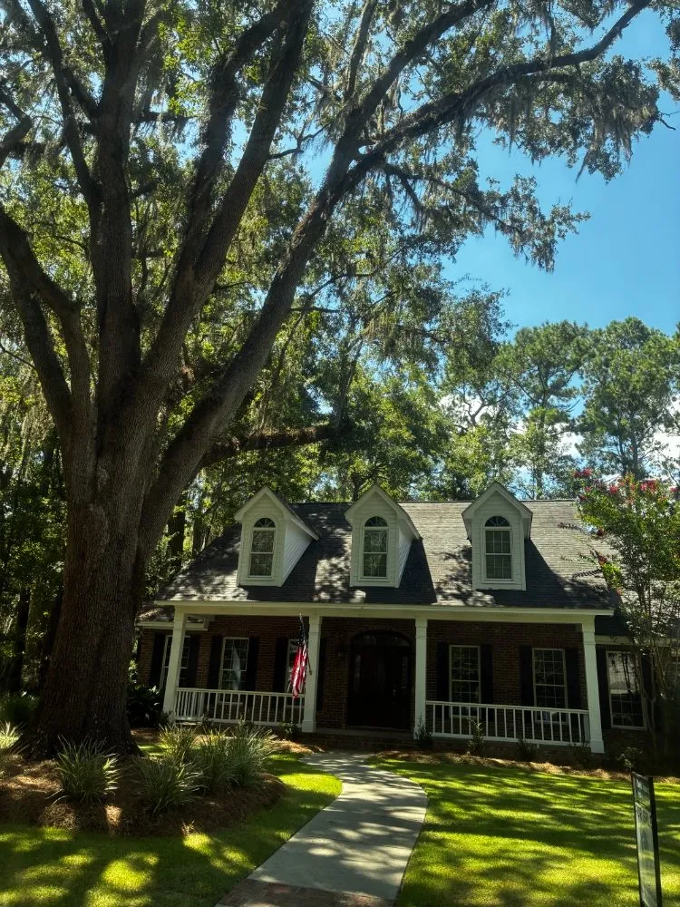 Reliable yard maintenance experts serving Ray City, GA - Southern Edge Lawn Services