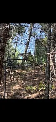 Southern Elegance Design and Landscape