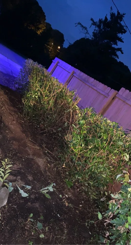 Trusted landscape design for homes across Tobaccoville, NC - Southern Empire Lawns