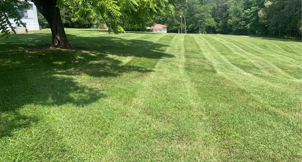 Expert yard cleanup service experts serving Tobaccoville, NC - Southern Empire Lawns