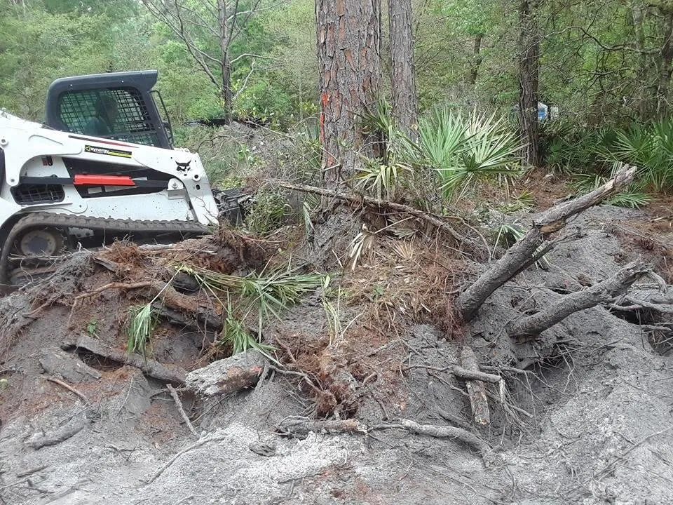 Trusted residential landscaping experts serving Mulberry, FL - Southern Estate Management