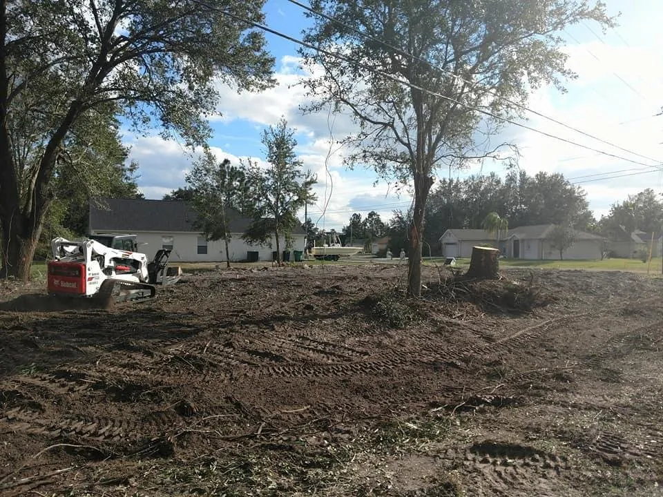 Reliable lawn care service near you across Mulberry, FL - Southern Estate Management