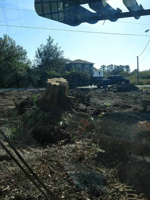 Reliable yard maintenance experts serving Mulberry, FL - Southern Estate Management