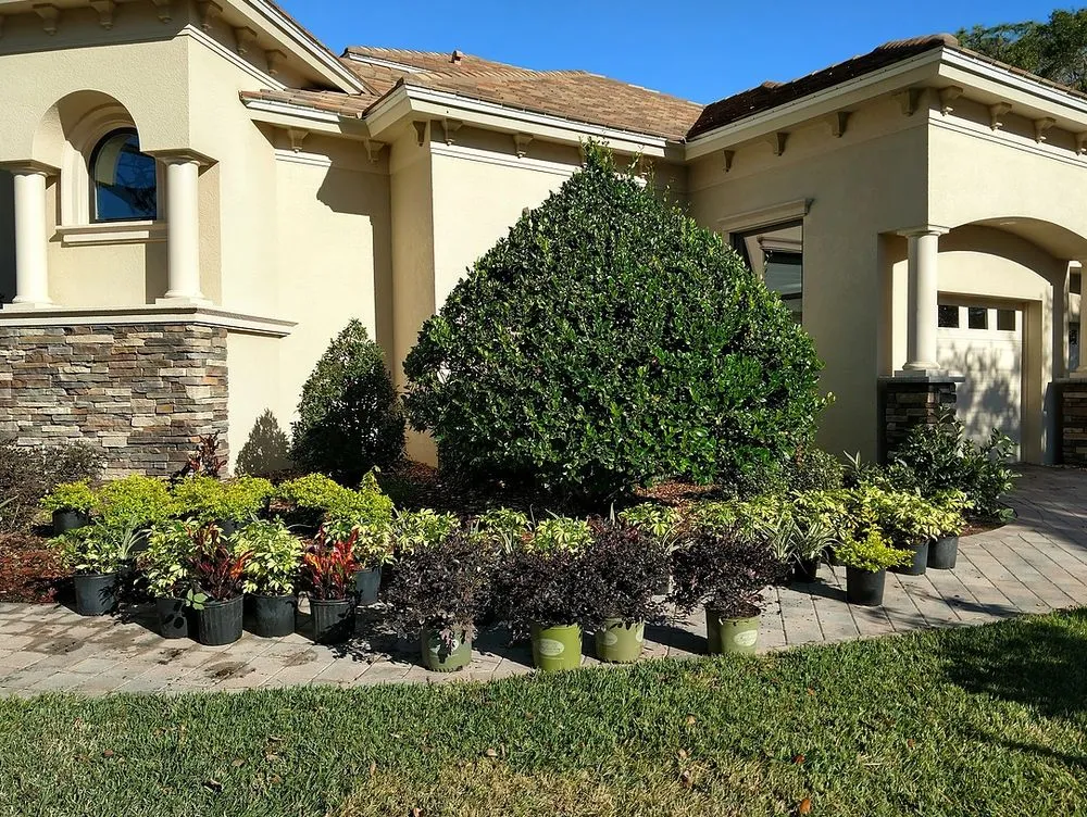 Professional lawn mowing service in Mulberry, FL by Southern Estate Management