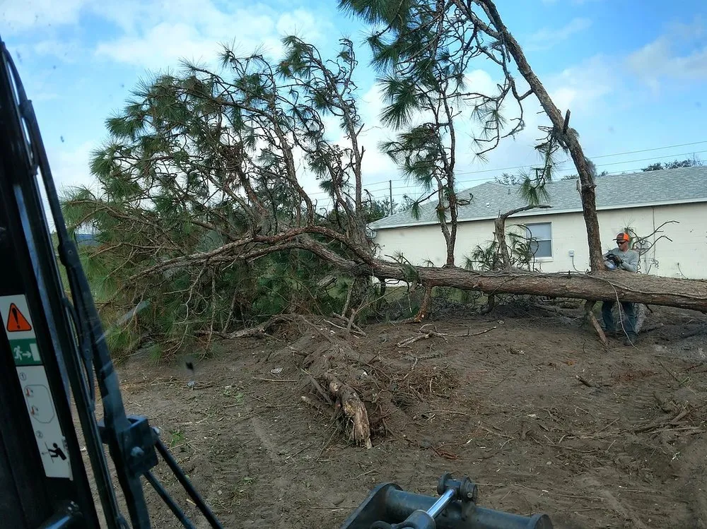 Local garden landscaping for year-round maintenance across Mulberry, FL - Southern Estate Management