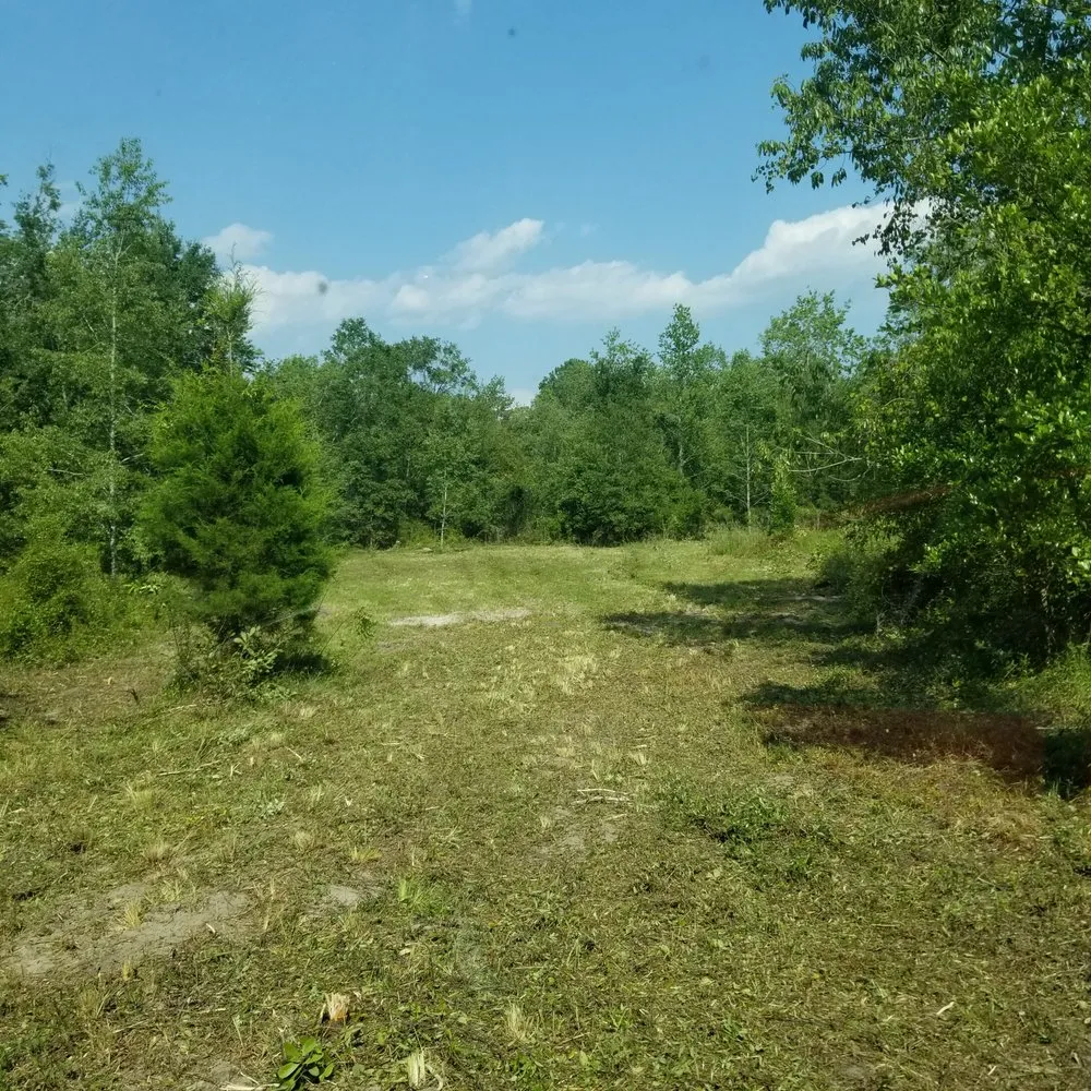 Custom yard cleanup service experts serving Lake City, FL - Southern Estate Services