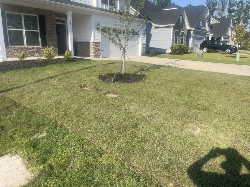 Custom lawn care service near you in Batesburg, SC by Southern Ethos Services