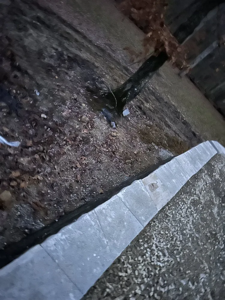 Affordable lawn care service for residential properties in Cave City, KY by Southern Excavation & Demolition