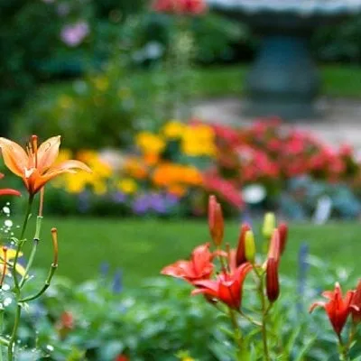 Affordable yard maintenance in Windsor, CO by Southern Exposure Landscape & Sprinkler