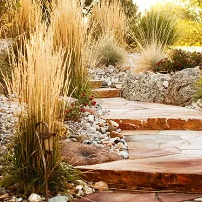 Professional yard maintenance in Windsor, CO by Southern Exposure Landscape & Sprinkler