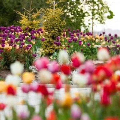 Reliable outdoor landscaping with custom design across Windsor, CO - Southern Exposure Landscape & Sprinkler