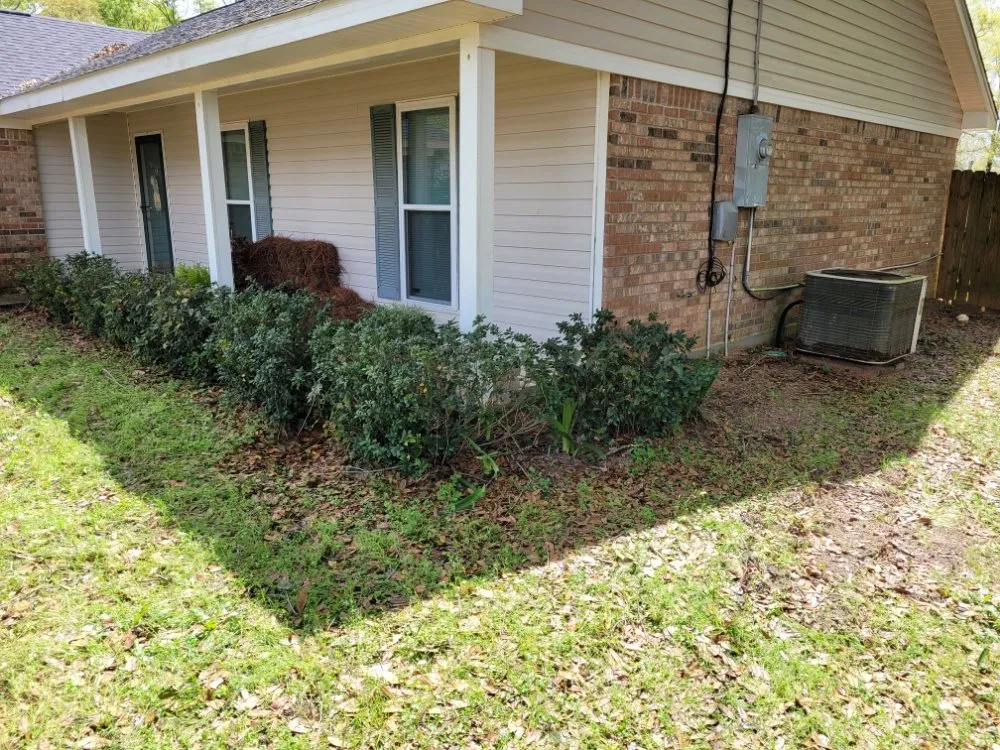 Expert yard cleanup service in Mobile, AL by Southern Fields Lawn and Landscape