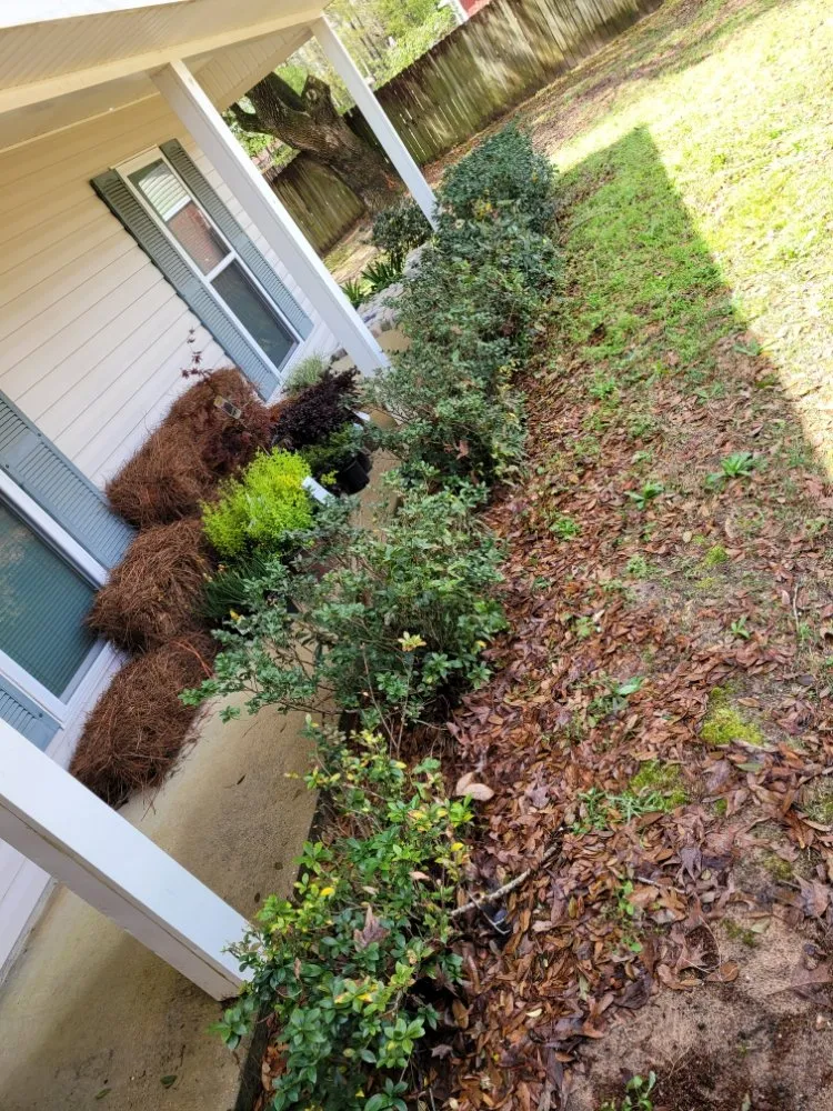 Local landscape design for outdoor upgrades in Mobile, AL by Southern Fields Lawn and Landscape
