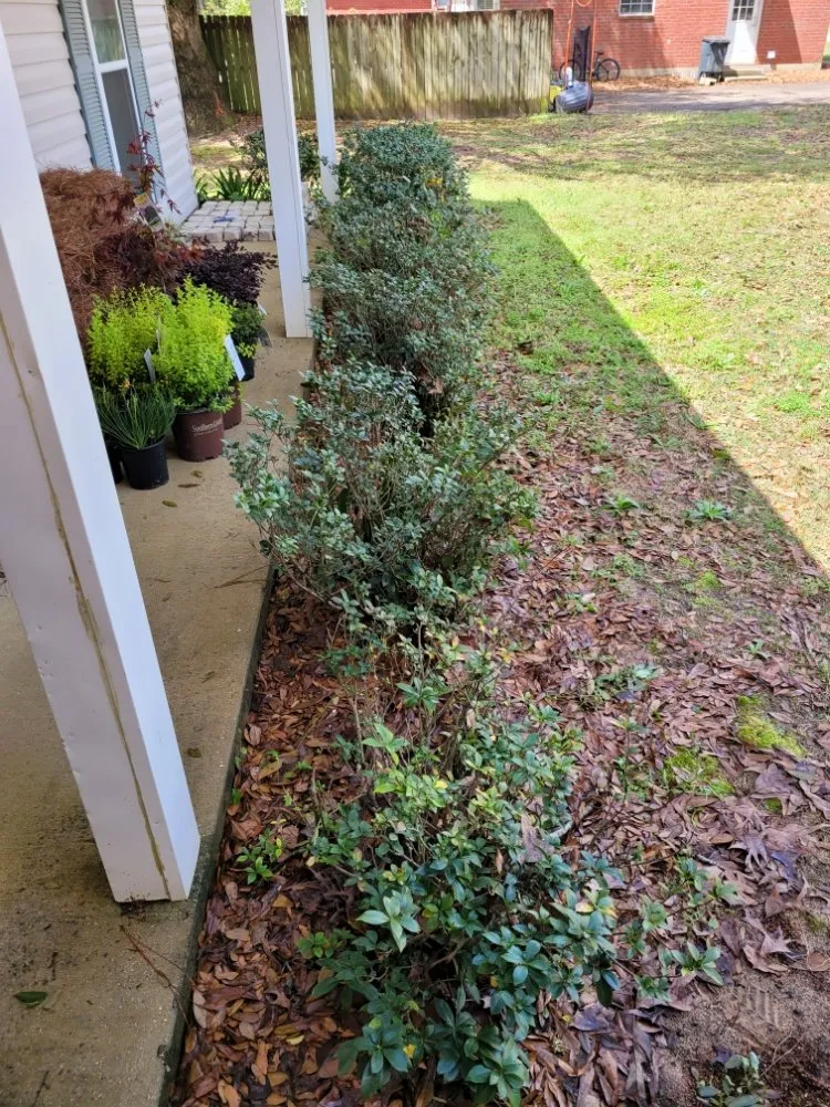 Top-rated garden landscaping for year-round maintenance across Mobile, AL - Southern Fields Lawn and Landscape