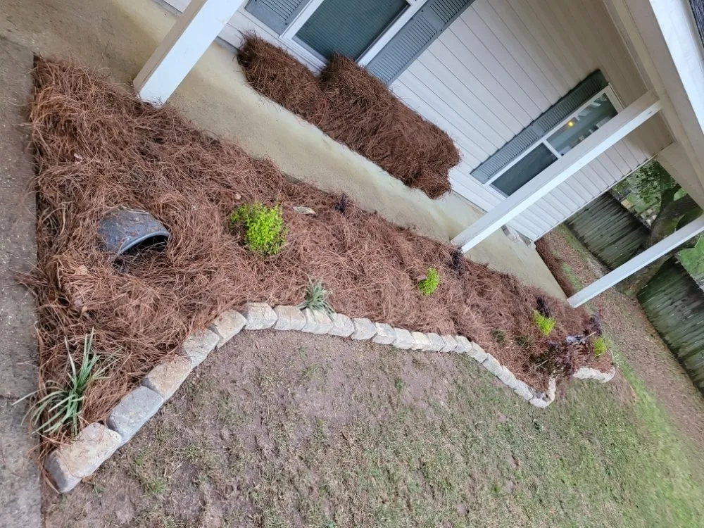 Top-rated residential landscaping in Mobile, AL by Southern Fields Lawn and Landscape
