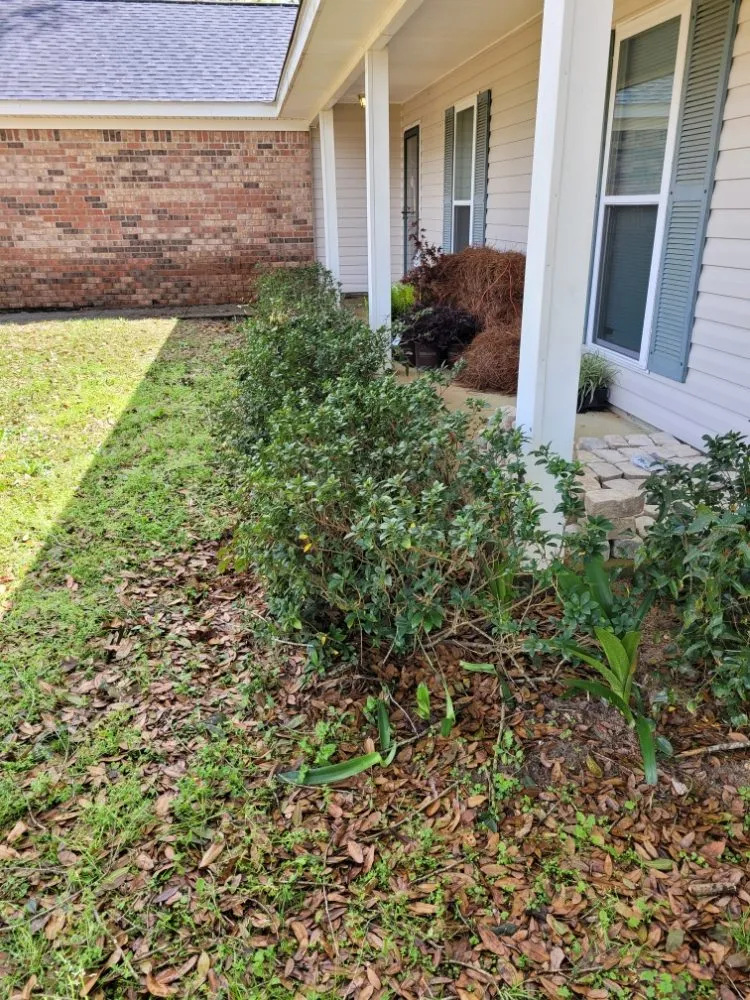 Expert outdoor landscaping for homes across Mobile, AL - Southern Fields Lawn and Landscape