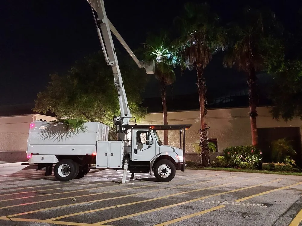 Custom yard maintenance in Bradenton, FL by Southern Florida Tree Service