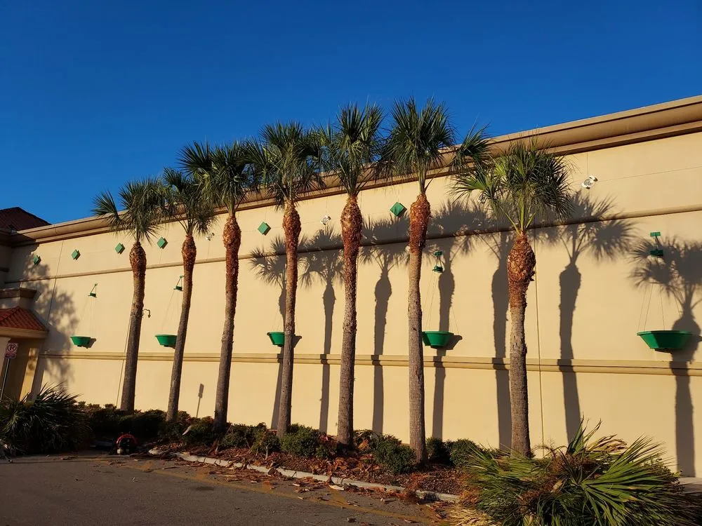 Expert landscape design in Bradenton, FL - Southern Florida Tree Service
