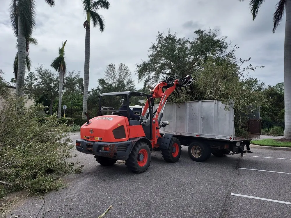 Custom landscape design experts serving Bradenton, FL - Southern Florida Tree Service