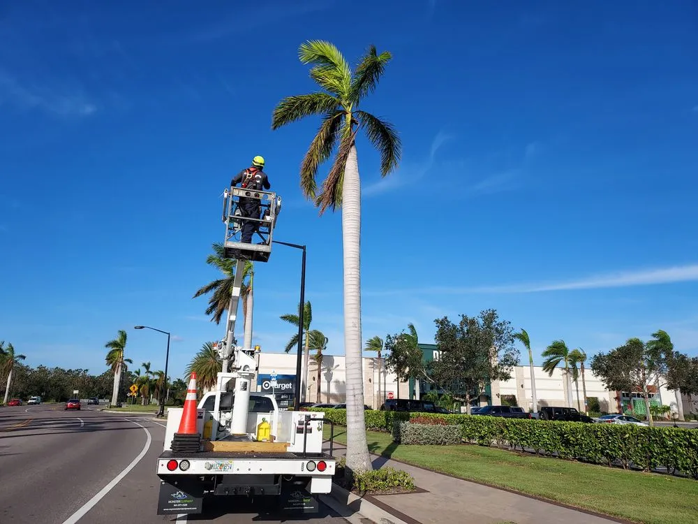 Expert residential landscaping experts serving Bradenton, FL - Southern Florida Tree Service