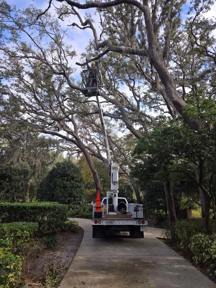 Local lawn mowing service near you in Bradenton, FL by Southern Florida Tree Service