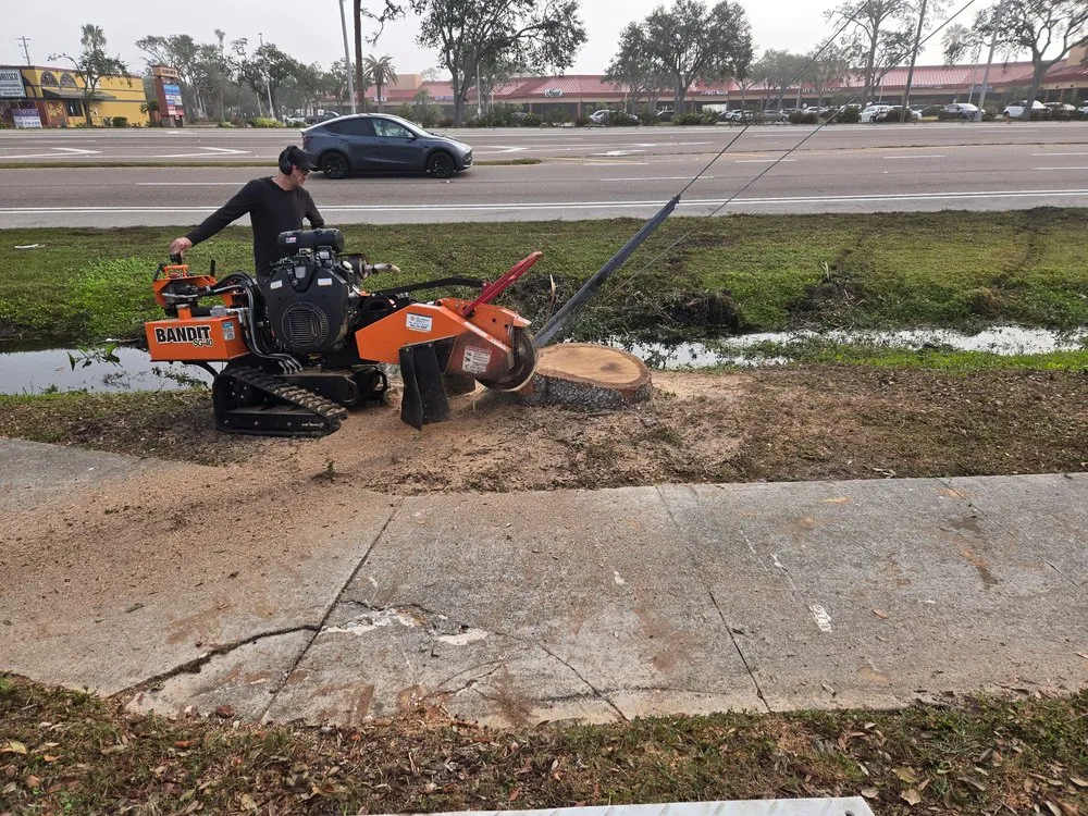 Expert lawn care service experts serving Bradenton, FL - Southern Florida Tree Service