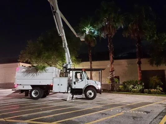 Southern Florida Tree Service Logo