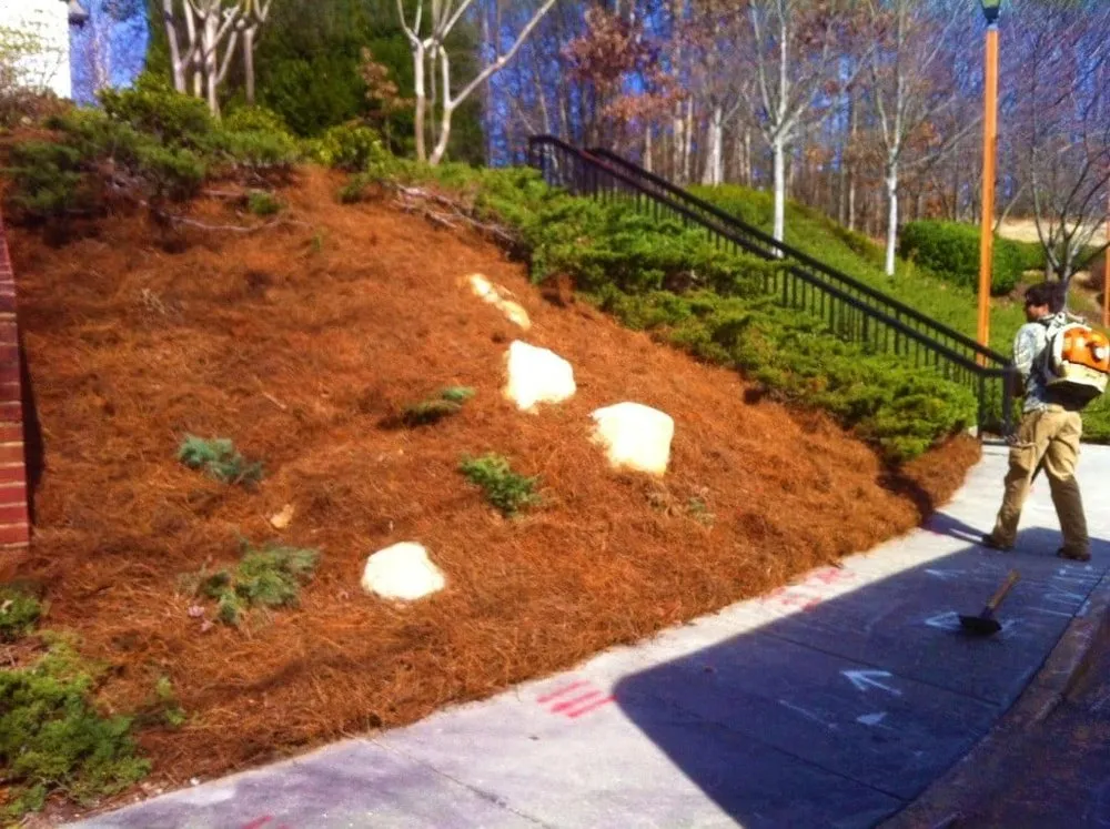 Local garden landscaping experts serving Lawrenceville, GA - Southern Gardens Landscape Management