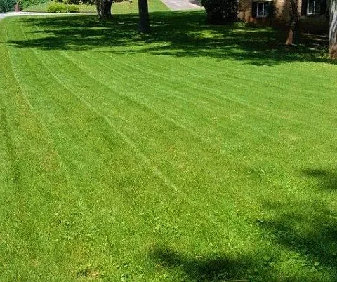 Custom landscape design for year-round maintenance in Lawrenceville, GA by Southern Gardens Landscape Management