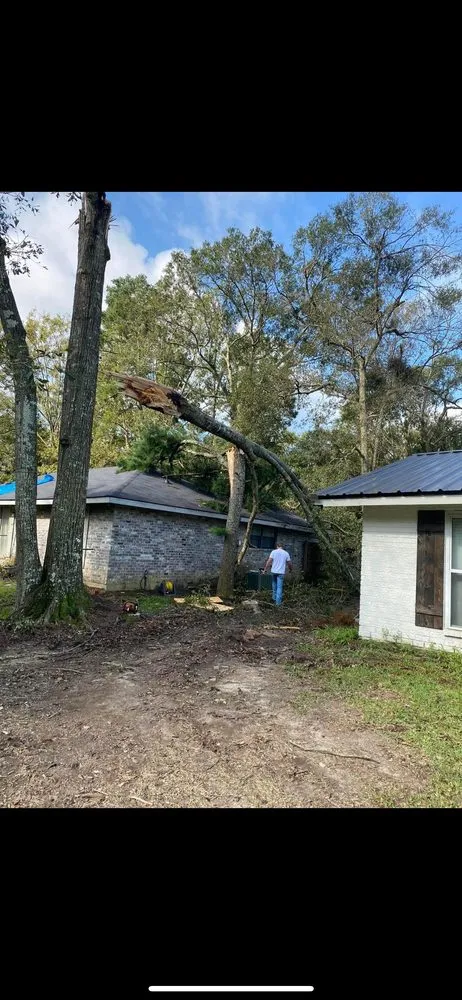 Trusted landscape installation for outdoor upgrades in Port Allen, LA by Southern Gentleman Lawncare and Tree Removal