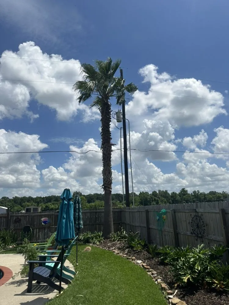 Professional lawn mowing service experts serving Port Allen, LA - Southern Gentleman Lawncare and Tree Removal