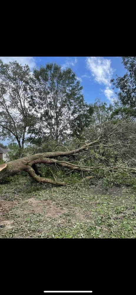 Professional residential landscaping in Port Allen, LA by Southern Gentleman Lawncare and Tree Removal