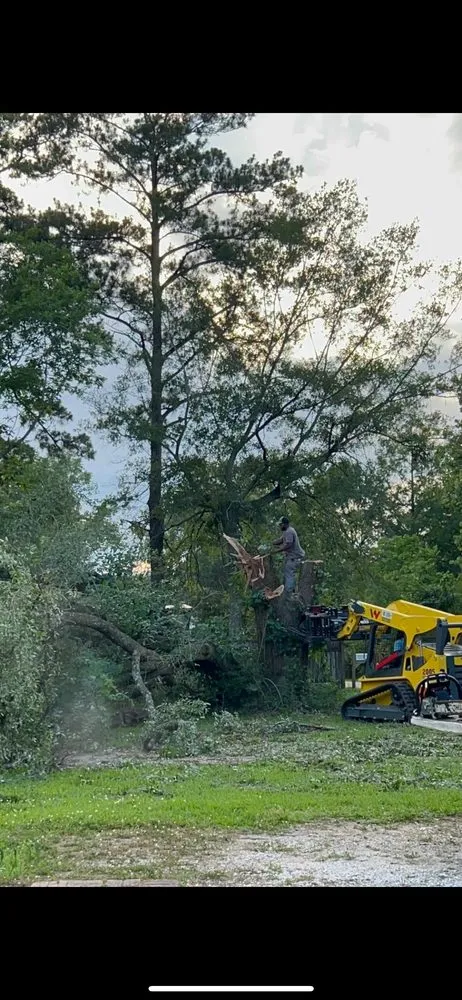 Top-rated landscaping services for year-round maintenance in Port Allen, LA by Southern Gentleman Lawncare and Tree Removal