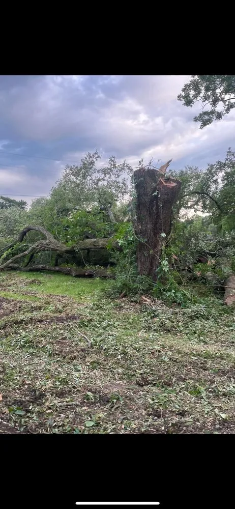 Reliable residential landscaping with custom design in Port Allen, LA by Southern Gentleman Lawncare and Tree Removal