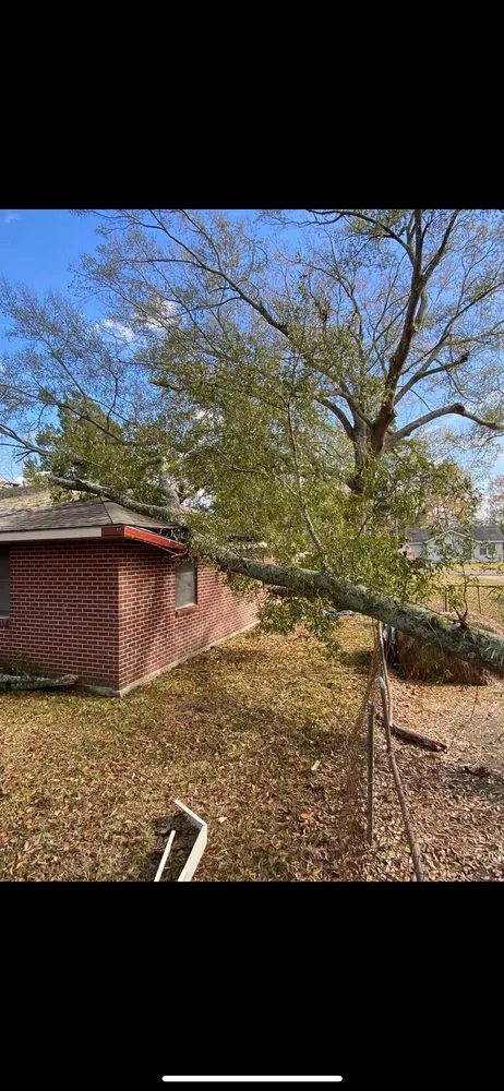 Affordable garden landscaping in Port Allen, LA - Southern Gentleman Lawncare and Tree Removal