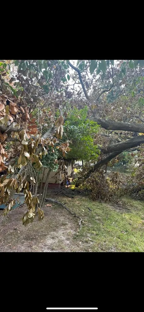 Professional yard cleanup service experts serving Port Allen, LA - Southern Gentleman Lawncare and Tree Removal