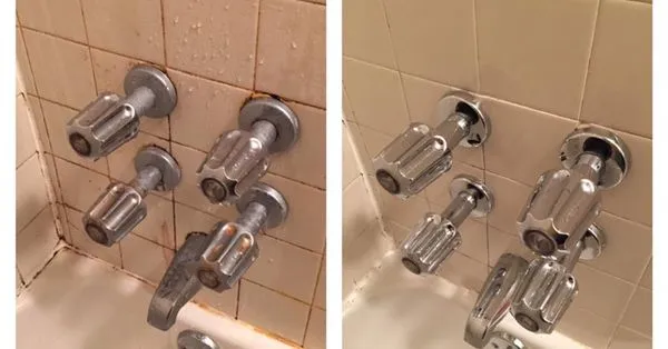 Southern Gold Sunshine Cleaning Logo