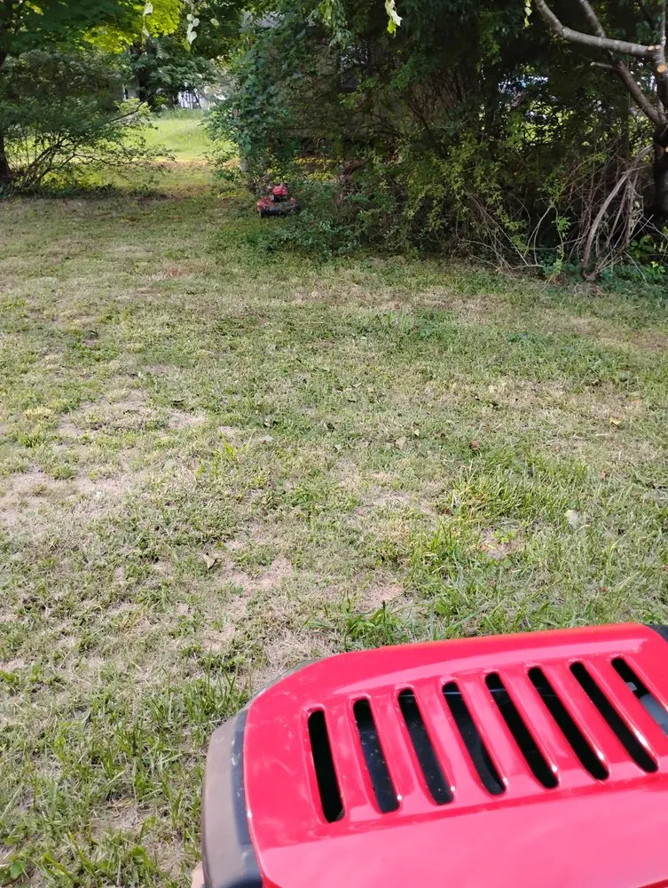 Local lawn mowing service for outdoor upgrades across North Wilkesboro, NC - Southern Grass Service