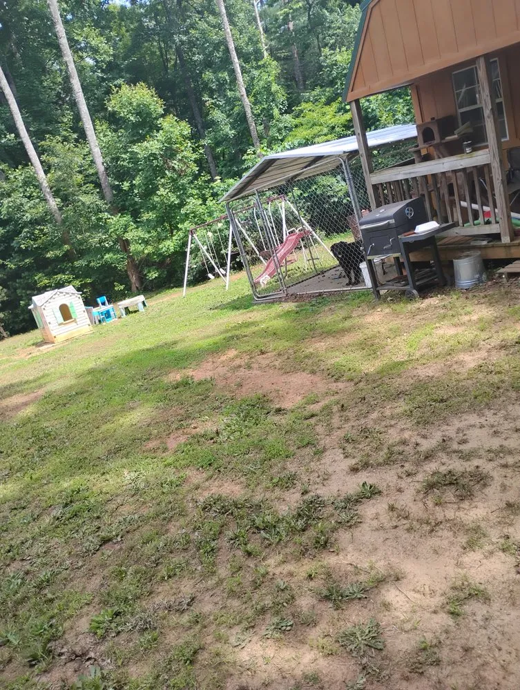 Top-rated lawn care service in North Wilkesboro, NC - Southern Grass Service