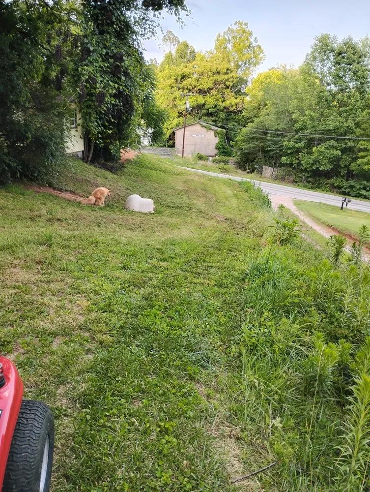 Reliable yard maintenance in North Wilkesboro, NC by Southern Grass Service