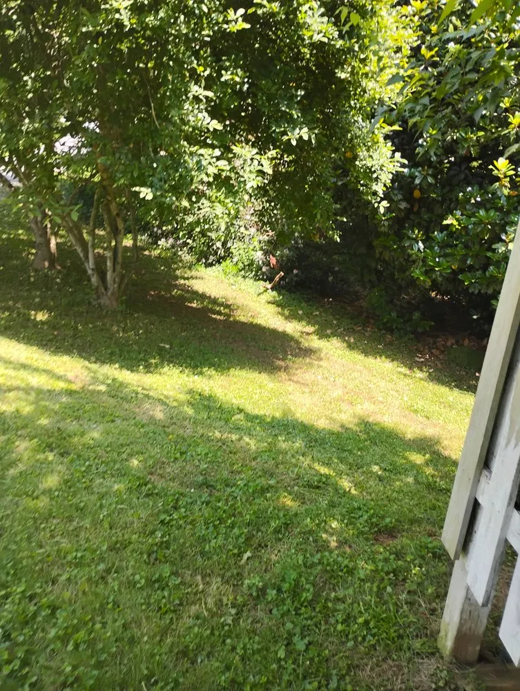 Local garden landscaping in North Wilkesboro, NC - Southern Grass Service