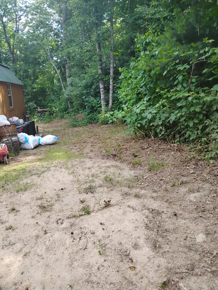 Expert yard cleanup service in North Wilkesboro, NC - Southern Grass Service