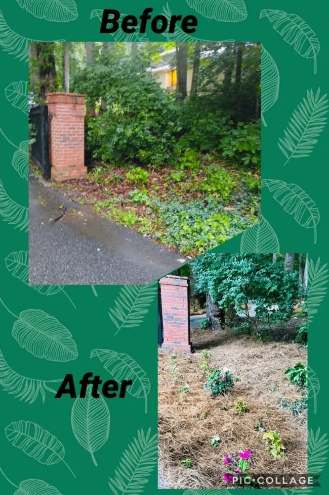 Reliable landscape design for homes across Yadkinville, NC - Southern Gray Grounds Management