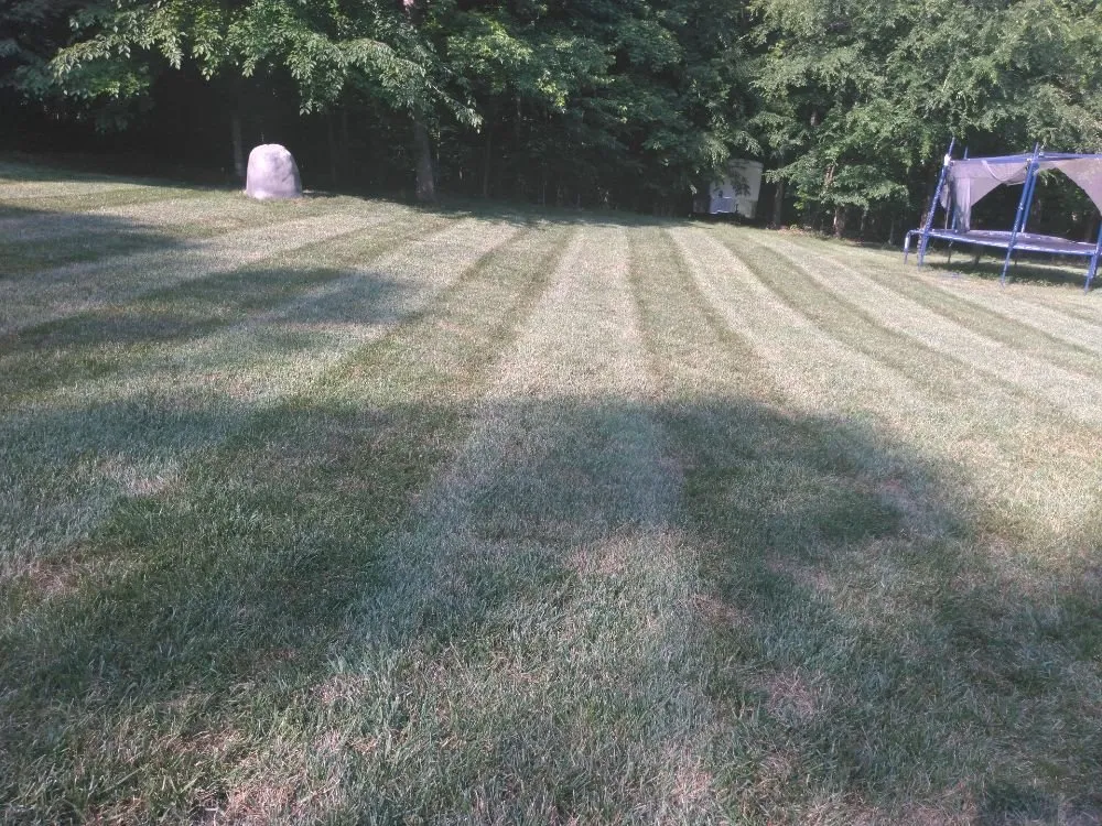 Top-rated residential landscaping in Yadkinville, NC - Southern Gray Grounds Management