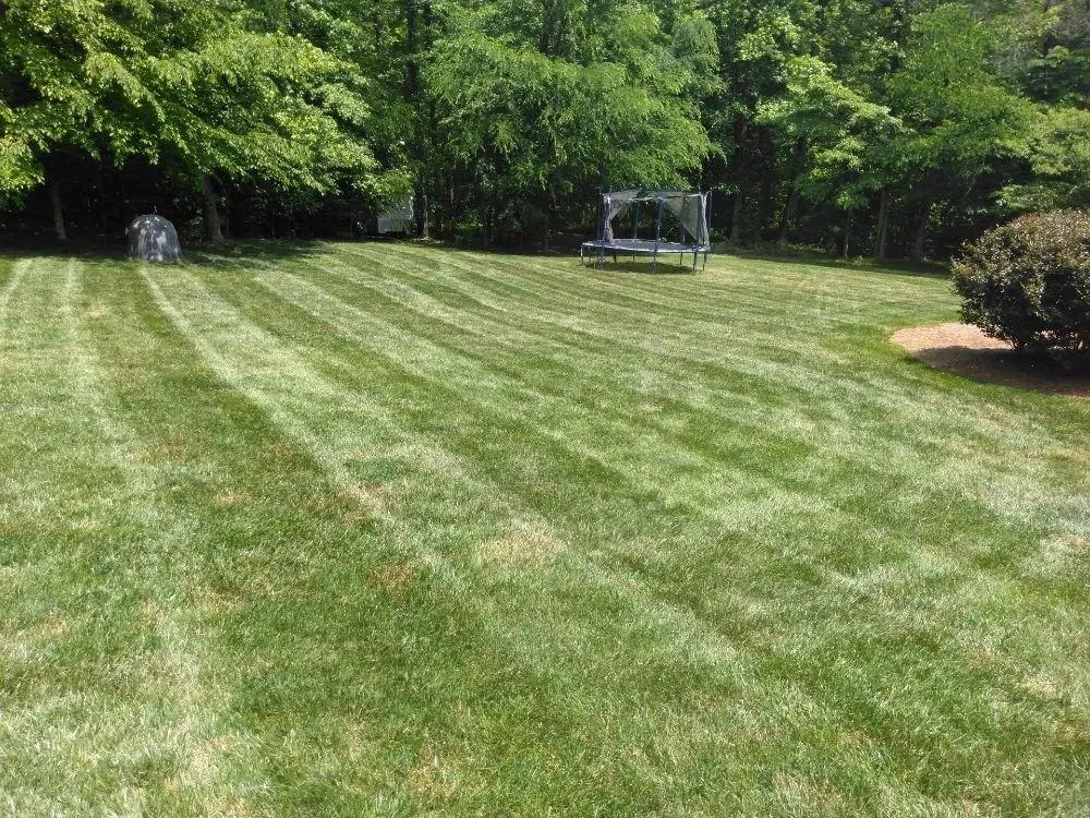 Affordable landscape design in Yadkinville, NC by Southern Gray Grounds Management