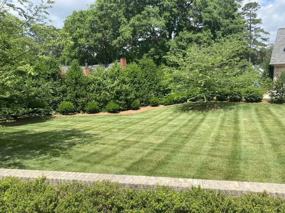 Local lawn care service for outdoor upgrades across Yadkinville, NC - Southern Gray Grounds Management