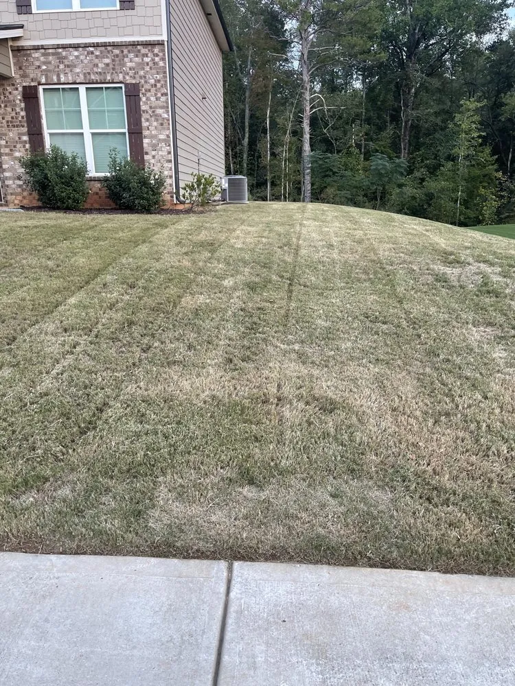 Professional yard cleanup service near you across Commerce, GA - Southern Green Landscape