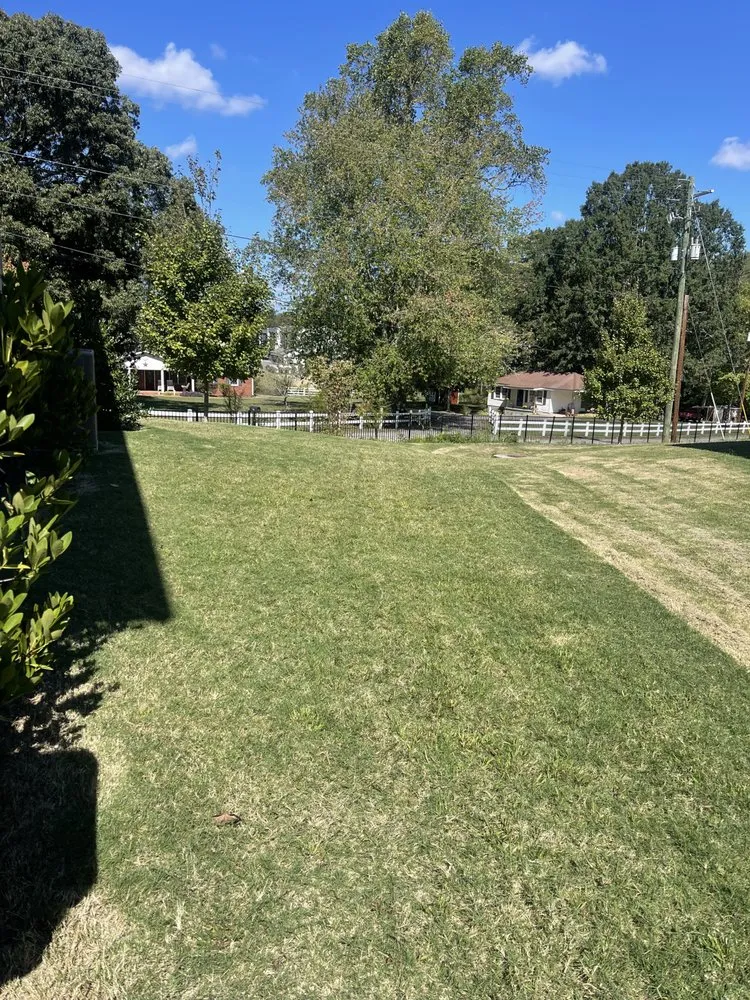 Custom landscape design for outdoor upgrades across Commerce, GA - Southern Green Landscape